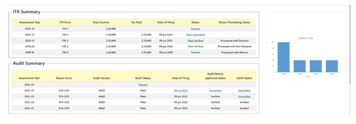 Summary of Audit Cases